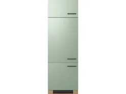 Discount Flex-Well Exclusiv Küchen-Geräteschrank Cara 60x200cm Schilfgrün matt-Artisan E.