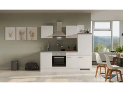 Flex-Well Exclusiv Einbauküchen|Kühlschränke<Küchenzeile Joelina 220 cm Weiß matt - Beton Grau