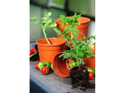 Clearance Florus Anzuchttopf Ø 15 cm terrakotta