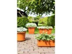 Discount Florus Pflanztopf Cilindro Ø 47 cm Anthrazit