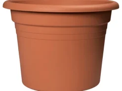 Florus Pflanztopf Cilindro Ø 47 cm Terracotta< Töpfe