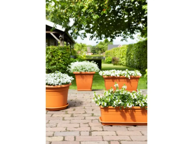 Florus Pflanztopf Cilindro Ø 40 cm< Töpfe