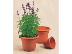 Clearance Florus Pflanztopf Fiore Alessia Ø 35 cm Terrakotta