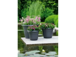 Clearance Florus Pflanztopf Fiore Alessia Ø 35 cm Terrakotta