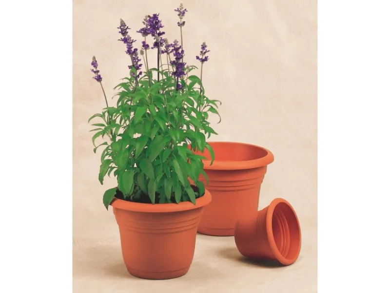 Florus Pflanztopf Fiore Alessia Ø 30 cm< Töpfe
