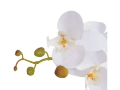 Sale furnicato Künstliche Orchidee mit Topf 75 cm Weiß