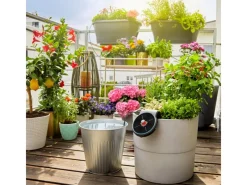 Gardena Solar-Bewässerung Aqua Bloom Set< Töpfe
