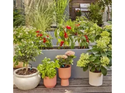 Gardena Töpfe<Tropfbewässerung Set Terrasse (30 Pflanzen) sofort einsatzbereit