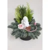 Outlet Grabschale mit Engel Rosa Topf ca. 15 cm