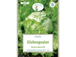 Grüne Fee Eisbergsalat Great Lakes 118 Saatgut< Kühlschränke