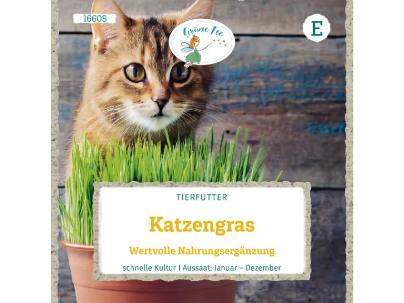Grüne Fee Töpfe<Katzengras Wertvolle Nahrungsergänzung Saatgut