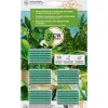 Sale GROW by OBI Düngestäbchen für Grünpflanzen und Palmen, 30 Stück