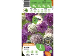 Clearance GROW by OBI Zierlauch Purple Sensation Mischung 5 Stück Allium