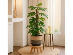 GROW by OBI Töpfe<GROW Fensterblatt am Moosstab Höhe ca. 80 cm Topf-Ø ca. 19 cm Monstera Minima