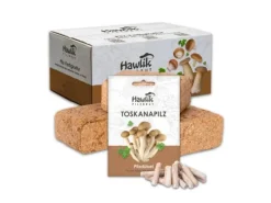 Hawlik Pilzbrut Toskanapilz Pilzbeet-Set für Einfache Pilzzucht Im Garten mit Substrat und Myzel inkl. Anbau-Anleitung