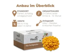 Hawlik Pilzbrut Toskanapilz Pilzbeet-Set für Einfache Pilzzucht Im Garten mit Substrat und Myzel inkl. Anbau-Anleitung