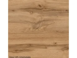 Best Held Möbel Held Küchen Spülenschrank Kempten 120 cm Weiß/Wotan 2 Türen
