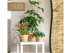 HMF 37280-14CM+19CM+25CM Innovativer Blumentopf Wasserhyazinthe Pflanztopf Rund 3 Größen< Töpfe
