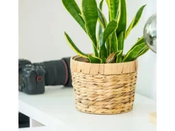 HMF 37280-14CM+19CM+25CM Innovativer Blumentopf Wasserhyazinthe Pflanztopf Rund 3 Größen< Töpfe