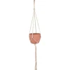 Hänge-Pflanztopf Desert Flower Terrakotta Ø 14 cm Natur< Töpfe