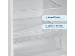homeX Kühlschränke<Kühlschrank Mit Gefrierfach Kühl-Gefrierkombination Freistehend 173 Liter Nutzinhalt CFS1110-W Weiß