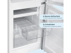 homeX Kühlschränke<Kühlschrank Mit Gefrierfach Kühl-Gefrierkombination Freistehend 173 Liter Nutzinhalt CFS1110-W Weiß
