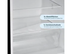 Outlet homeX Kühlschrank Mit Gefrierfach Kühl-Gefrierkombination Freistehend 173 Liter Nutzinhalt CFS1110-B Schwarz