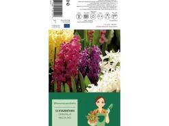 Hyazinthen Mischung Mischung 12 Stück  Hyacinthus Mix< Töpfe