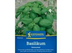 Kiepenkerl Töpfe<Basilikum "Genoveser"