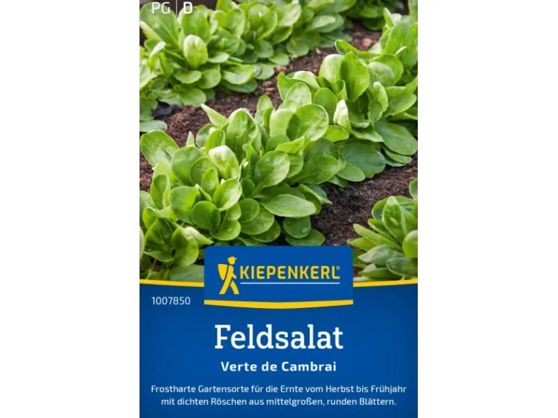 Best Kiepenkerl Feldsalat "Verte de Cambrai"