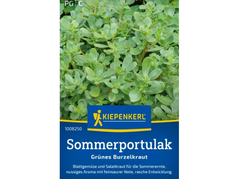 Kiepenkerl Töpfe<Portulak "Sommerportulak"