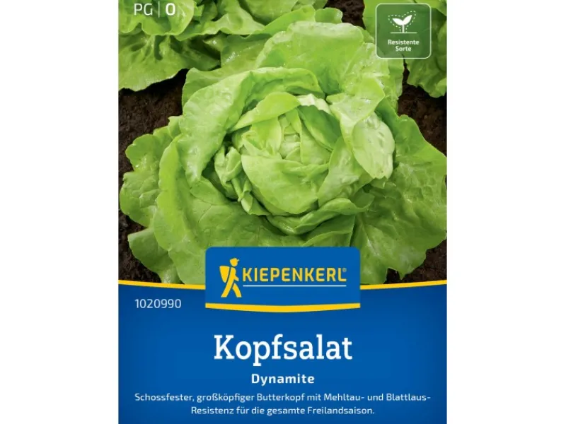 Kiepenkerl Profi-Line Kopfsalat "Dynamite"< Töpfe