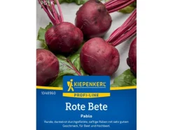 Kiepenkerl Töpfe<Profi-Line Rote Bete "Pablo" F1-Hybride