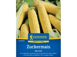 Kiepenkerl Profi-Line Zuckermais "Sprinter" F1-Hybride< Töpfe
