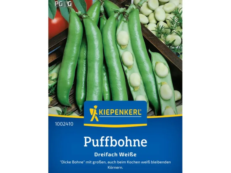 Kiepenkerl Puffbohne "Dreifach weiße"< Töpfe