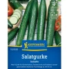Sale Kiepenkerl Salatgurke Saladin