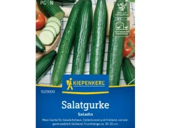 Sale Kiepenkerl Salatgurke Saladin