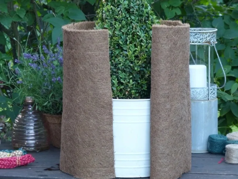 Proflora Töpfe<Kokosfaser Winterschutz Matte für Garten/Pflanzen 5er Set (LxB) 150 x 50 cm