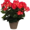 Mica Decorations Töpfe<Kunstblume Begonia Dunkelrosa Topf-Ø 11,5 cm H 30 cm, Ø: 25 cm