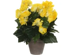 Mica Decorations Kunstblume Begonia Gelb Topf-Ø 11,5 cm H 30 cm, Ø: 25 cm< Töpfe