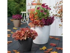 Lechuza Töpfe<® Pflanzgefäß Classico Color 28 Schiefer Ø 28 cm