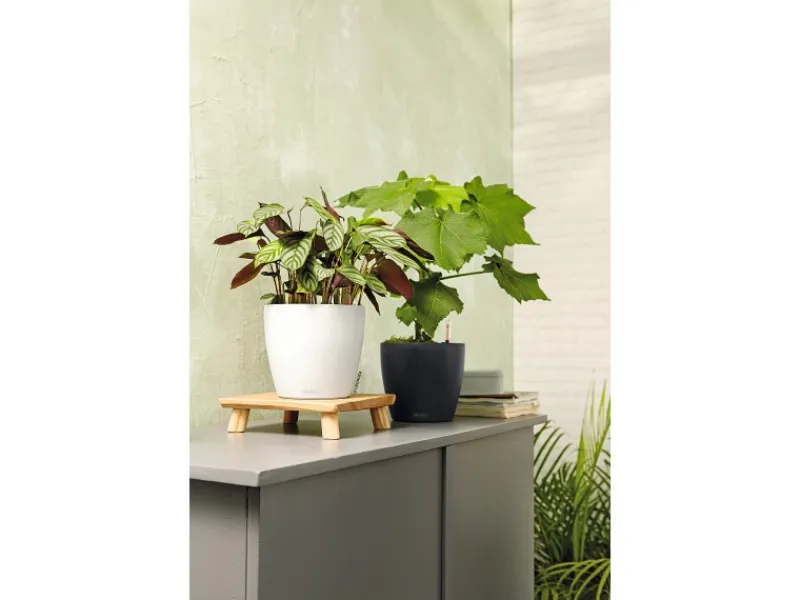 Lechuza Töpfe<® Pflanzgefäß Classico Color 28 Ø 28 cm
