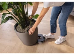Lechuza ® Pflanzgefäß Classico Color Ls 43 Ø 43 cm< Töpfe