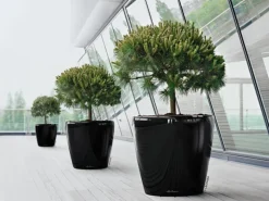 Lechuza Töpfe<® Pflanzgefäß Classico Premium Ø 70 cm x 65 cm hochglanz