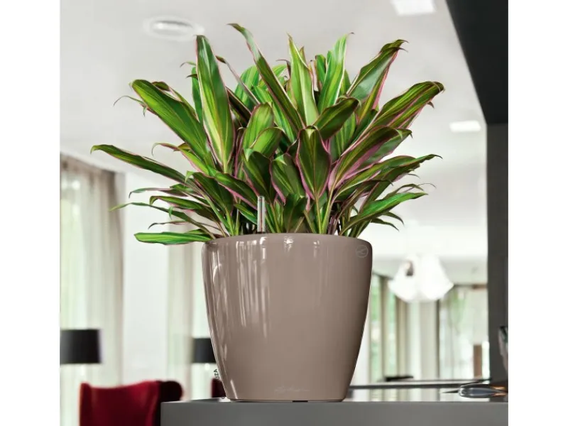 Sale Lechuza ® Pflanzgefäß Classico Premium LS Ø 22 cm x 21 cm hochglanz Taupe