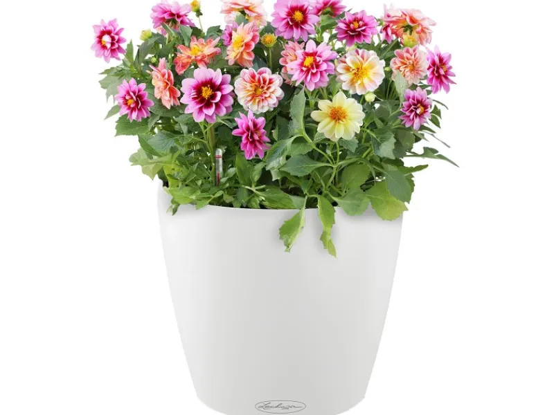Lechuza Töpfe<® Pflanzgefäß Classico Color 18 Ø 18 cm