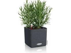 New Lechuza ® Pflanzgefäß Cube Color 14 Schiefer 14 cm x 14 cm Grau