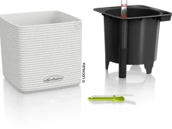 Lechuza ® Pflanzgefäß Cube Color 14 14 cm x 14 cm< Töpfe