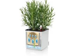 Lechuza ® Pflanzgefäß Cube Color 14 14 cm x 14 cm< Töpfe