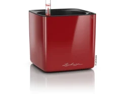 Outlet Lechuza ® Pflanzgefäß Cube Glossy 14 Scarlet highgloss 14 cm x 14 cm Rot